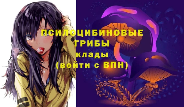 мдпв Белокуриха